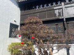 -绮园景区