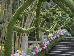 -东南花都花博园