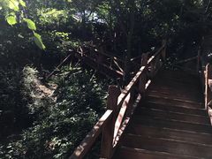 -大岭沟猕猴桃谷风景区