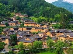 -杨家堂村