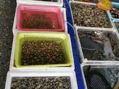 -霞涌市场海鲜摆卖区
