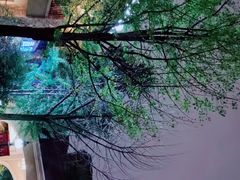 -江滨一号高尔夫俱乐部(滨江店)