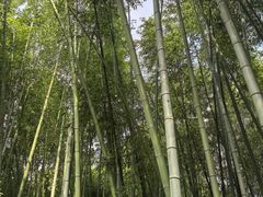 -汇龙潭