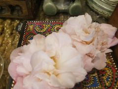 -兰纳泰式spa(古城店)