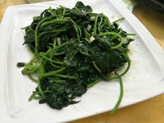 蒜蓉番薯叶-湛江明记(湛江鸡湛江生蚝)