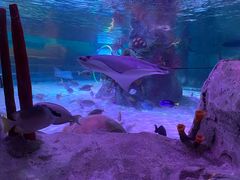 -沈阳海洋探索中心