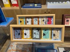 -齐齐哈尔市博物馆