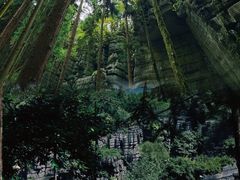 -梭布垭石林景区