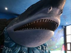 -多彩贵州城极地海洋世界