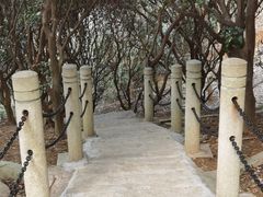 -水濂山森林公园