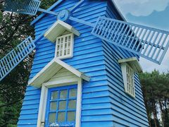 -铁山坪森林公园