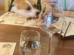 -gula