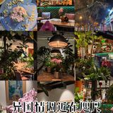 愉悦氛围感MAX