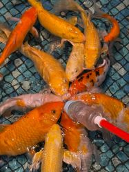 -酷嗒动物文化乐园(cutezoo西溪乐天城店)