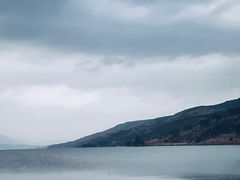 -阳宗海湿地