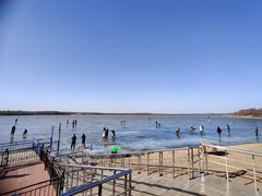 -丁香湖公园