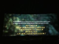 -汉阳天河电影城(王家湾店)