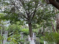 -广州神农草堂中医药博物馆