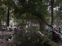 -成都市活水公园