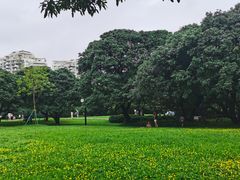 -荔香公园