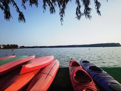 -上海海湾国家森林公园