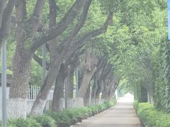 -慈城古县城景区