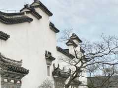 -广富林郊野公园