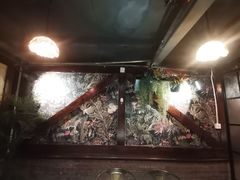 -C31地窖餐厅(黑龙江北路店)