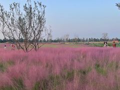 -汉长安城未央宫国家考古遗址公园