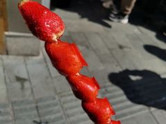 -豫园