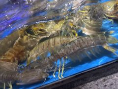 -徐记海鲜(大雁塔|金都店)