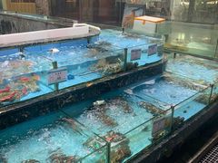 水产区-顺风山庄(水濂山店)