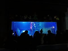 -台州海洋世界