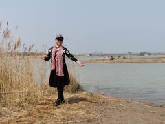 -盐城丹顶鹤湿地生态旅游区
