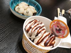 柴犬团子-逗柴咖啡屋·狗咖猫咖宠物桌游