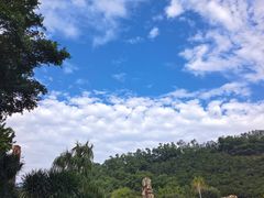 -深圳仙湖植物园