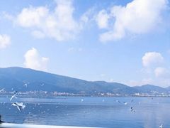 -大理洱海