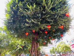 -三坊七巷历史文化街区