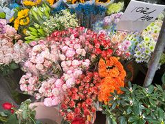 -循礼门鲜花花市(武汉循礼门店)