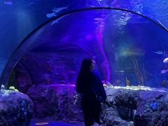 -沈阳海洋探索中心