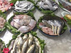 -老太太海鲜城(森林公园任家台店)
