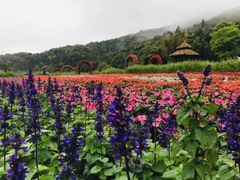 -广州市石门国家森林公园