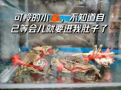 -三辣馆