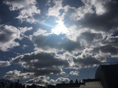 -名古屋城