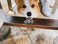 -新元素(蓝色港湾店)