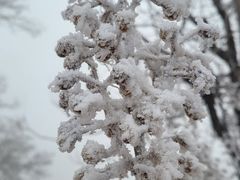 -北运河水利风景区