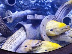 -成都浩海立方海洋公园