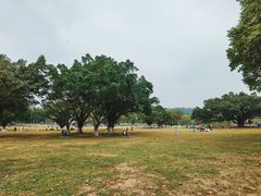 -东莞植物园