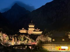 -禅宗少林·音乐大典