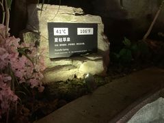 -海口观澜湖火山温泉谷